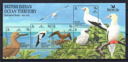 British Indian Ocean Territory, BIOT 2002 Birdlife - Red-footed Booby MS MNH (SG MS266) - Territorio Británico Del Océano Índico