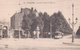 13 / MARSEILLE / EDITEUR NANCY 65 / AVENUE DU PRADO ET L ELDORADO / RARE - Südbezirke, Mazargues, Bonneveine, Pointe Rouge, Calanque-Felsen