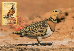 LIBYA 1995 Birds Wildlife "Sandgrouse" (maximum-card) - Pernice, Quaglie