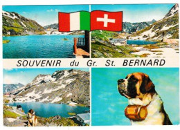 SVIZZERA CARTOLINA VIAGGIATA NEL 1972 LAC ET HOSPICE DU GRAND SAINT BERNARD - Bourg-Saint-Pierre 