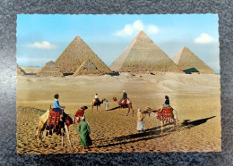 Pyramides Of Giza Egypt - Gizeh