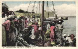 Curacao, D.W.I., WILLEMSTAD, Sailboat Bringing Fish (1930s) Sunny Isle No. 52 (1 - Curaçao
