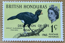 BRITISH HONDURAS  - MH* - 1965 - # 195 - Honduras Británica (...-1970)