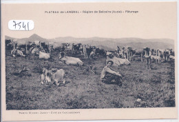 PLATEAU DE L ANGRAL- REGION DE BELCAIRE- PATURAGE- ELEVAGE BOVIN - Andere & Zonder Classificatie