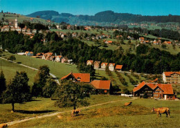 13945221 Heiden_AR Panorama - Sonstige & Ohne Zuordnung