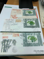 China Stamp Postally Used Cover Bamboo - Lettres & Documents