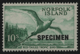 Norfolk-Insel 1960 - Mi-Nr. 36 ** - MNH - Vögel / Birds - Specimen (I) - Norfolk Island