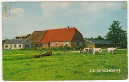 Epe - Kampeerboerderij 'De Berghoeve', Veenweg 9 - (Gelderland, Nederland/Holland) - - Epe