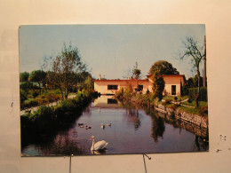 Lesparre Medoc - Le Cours D'eau - Lesparre Medoc