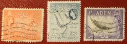 GRAN BRETAGNA  ADEN  1953  10 Cent.-50 Cent.- 1 S. - Aden (1854-1963)