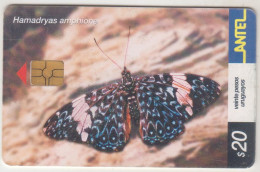 URUGUAY - Parides Perrhebus (Butterfly), TC 245a, Chip: GEM5 (Black), 20 $ , Tirage 200.000, Used - Uruguay