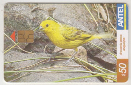 URUGUAY - Dorado (Bird), TC 380a, Chip: GEM5 (Black), 50 $ , Tirage 100.000, Used - Uruguay