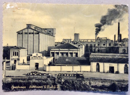 1958 CASTELMASSA STABILIMENTO F.R.A.G.D FABBRICHE RIUNITE AMIDO GLUCOSIO DESTRINA / ROVIGO - Rovigo