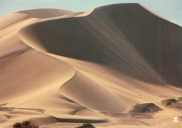 CPM-Niger - Au Nord-Ouest De L'AÏR : IMANENE - Dune Adossée Au Mont GREBOUN. *SUP** 2 Scans - Niger