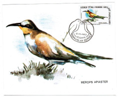 TURKISH CYPRUS CARD MAXIMUM - BIRDS - Briefe U. Dokumente