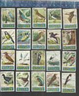 RIZLA VOGELS BIRDS OISEAUX  Issued In Belgium 1961 - Boites D'allumettes - Etiquettes