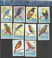 RIZLA VOGELS BIRDS OISEAUX    Belgium Matchbox Labels - Boites D'allumettes - Etiquettes