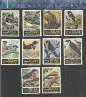 RIZLA  VOGELS OISEAUX BIRDS SERIE 3 Issued The Netherlands 1962 - Boites D'allumettes - Etiquettes