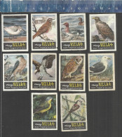 RIZLA  VOGELS OISEAUX BIRDS SERIE 4 Issued The Netherlands 1963 - Boites D'allumettes - Etiquettes