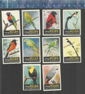 RIZLA  VOGELS OISEAUX BIRDS SERIE 5 Issued The Netherlands 1964 - Boites D'allumettes - Etiquettes