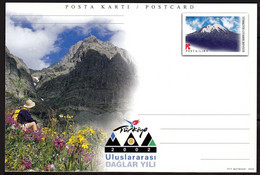 2002 TURKEY INTERNATIONAL MOUNTAINS YEAR POSTCARD - Enteros Postales