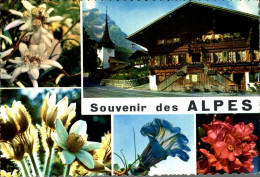 M8 - Souvenir Des Alpes - Rhône-Alpes