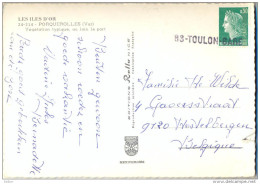 4cp-442: N°1536A:  83- TOULON-Gare: Griffe / Cp: Les ILES D'OR Végetation Typique, Au Coin Le Port... Abîmée.. - 1967-1970 Maríanne De Cheffer