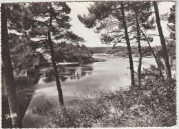 CLOHARS CARNOET GUIDEL  LA LAITA AU PONT DE SAINT MAURICE - Clohars-Carnoët