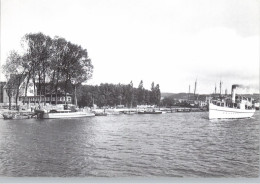 WESTPREUSSEN - TOLKEMIT / TOLKMICKO, Hafenkrug Erlenwäldchen, Dampfer TOLKEMIT, Nachkriegskarte - Westpreussen