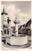 Braunlage - Am Brunnen - Braunlage