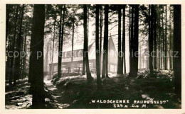42610074 Altenberg Erzgebirge Waldschaenke Raupennest Geising - Geising