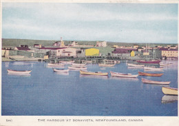 LE PORT DE BONAVISTA  TERRE-NEUVE CANADA THE HARBOUR AT BONAVISTA  NEWFOUNDLAND - Altri & Non Classificati