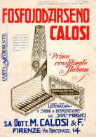 CARTA ASSORBENTE CALOSI 1929 - M