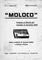 CARTA ASSORBENTE MOLOCO 1926 - M