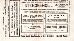 CARTA ASSORBENTE STENOGENOL 1929 - M