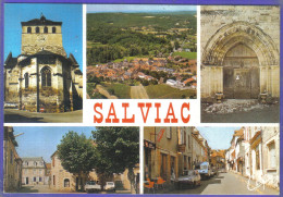 Carte Postale Toilée 46. Salviac  Très Beau Plan - Salviac