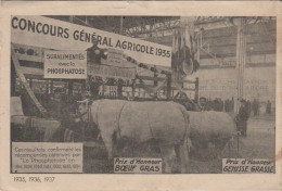 Pub "LA PHOSPHATOSE" Boulogne (Seine) CONCOURS GENERAL AGRICOLE 1935 . Prix D'Honneur "Boeuf Gras Et Génisse Grasse" - Publicidad
