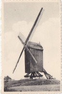 Kuurne - Molen 't Hoge - Moulin - Kuurne