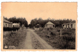 BELLE CARTE PHOTO NELS : BONHEYDEN MATADI LAAN. - BONHEIDEN - BELGIQUE - Bonheiden