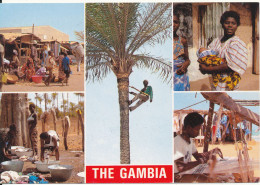 Gambia Postcard Sent To Denmark (Scenes From Local Life) - Gambie