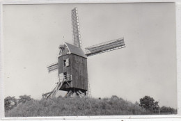 Sint-Lmabrechts-Woluwe. Nieuwe Standerdmolen. * - St-Lambrechts-Woluwe - Woluwe-St-Lambert