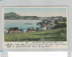 Gmunden Vom Grünberg 1901 Mit Raddampfer - Dampfschiff - Gmunden