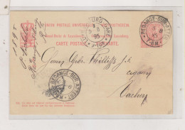 LUXEMBOURG 1895 Nice Postal Stationery - Postwaardestukken