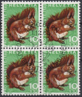 1966 Schweiz Pro Juventute ET ° Zum: CH J216, Mi: CH 846, Eichhörnchen, Einheimische Wildtiere - Knaagdieren
