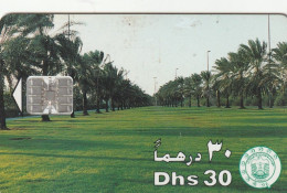 PHONE CARD EMIRATI ARABI  (CV900 - Ver. Arab. Emirate