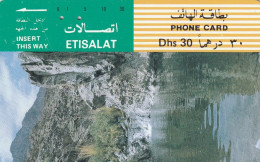 PHONE CARD EMIRATI ARABI  (CV774 - Ver. Arab. Emirate