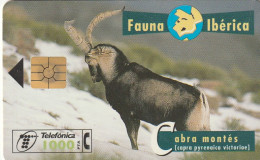 PHONE CARD SPAGNA  (CV764 - Commemorative Advertisment