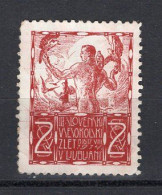 1914. SLOVENIA,LJUBLJANA,SOKOL MEETING,2 HELLER POSTER STAMP CINDERELLA - Erinnophilie