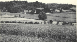 Amougies Panorama - Mont-de-l'Enclus