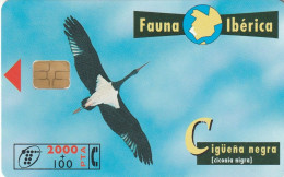 PHONE CARD SPAGNA FAUNA IBERICA  (CV6956 - Emissioni Di Base